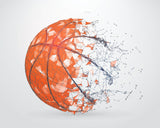 Digital Download 10x8 Basketball Wall Art - Set of 4 files - 0548