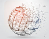 Digital Download 10x8 Volleyball Wall Art - Set of 4 files - 0549